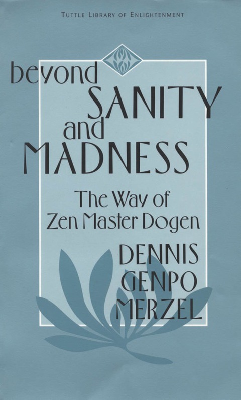Cover image for book Beyond Sanity and Madness