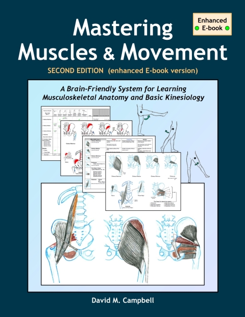 Cover image for book Mastering Muscles and Movement - Enhanced Ebook