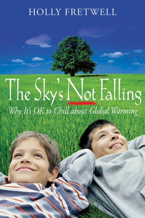 Cover image for book The Sky's Not Falling!