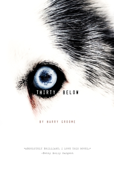 Cover image for book Thirty Below