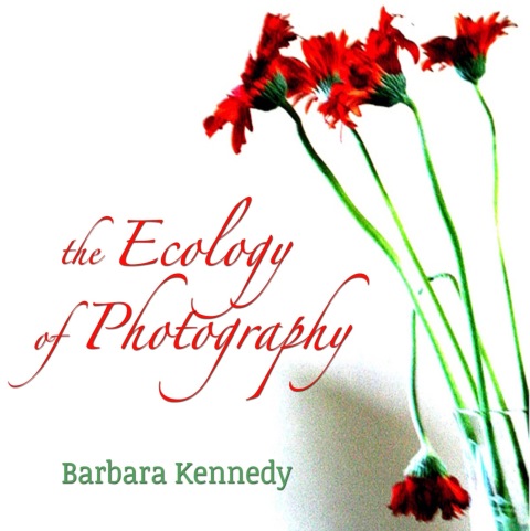 Cover image for book The Ecology of Photography