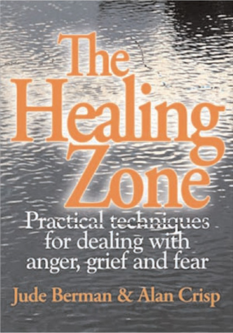 Cover image for book The Healing Zone