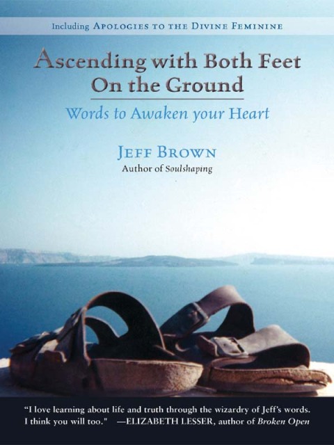 Cover image for book Ascending with Both Feet On the Ground