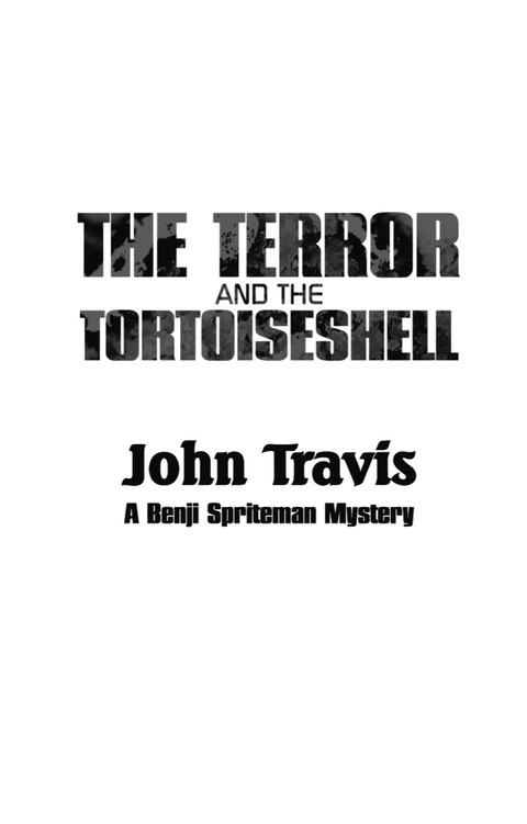 Cover image for book The Terror and the Tortoiseshell