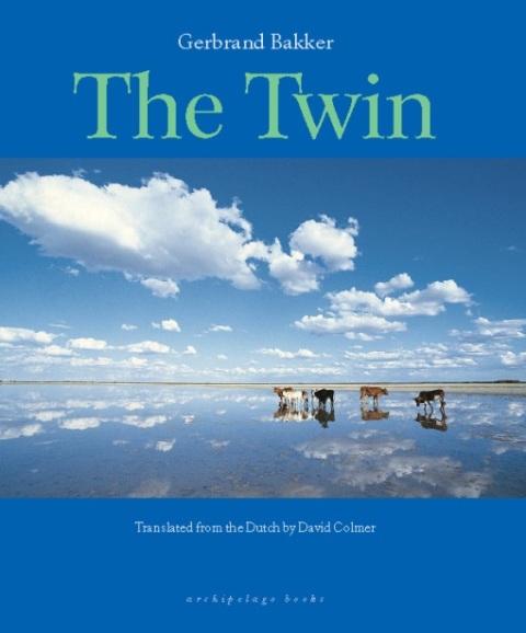 Cover image for book The Twin