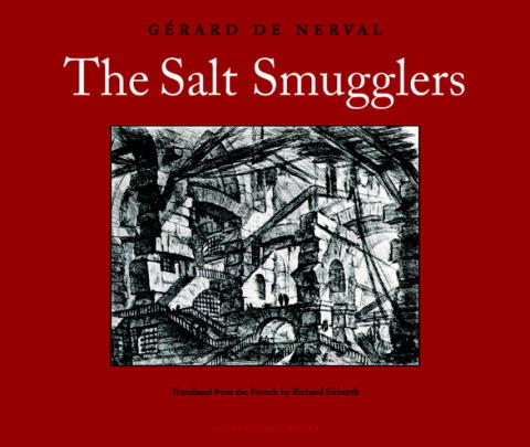 Cover image for book The Salt Smugglers