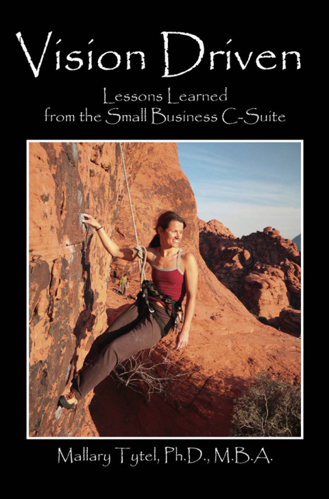 Cover image for book Vision Driven: Lessons Learned from the Small Business C-Suite
