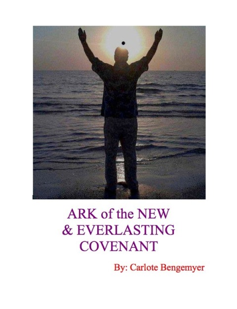 Cover image for book Ark of the New and Everlasting Covenant
