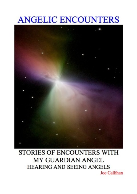 Cover image for book Angelic Encounters
