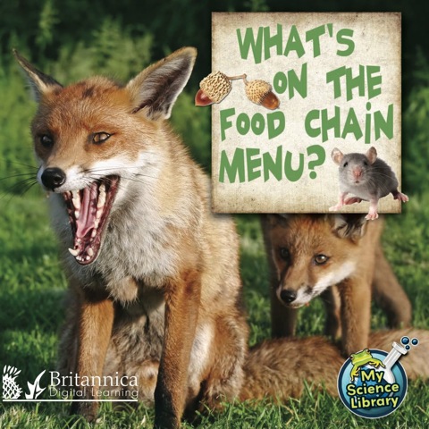 Cover image for book What's on the Food Chain Menu?