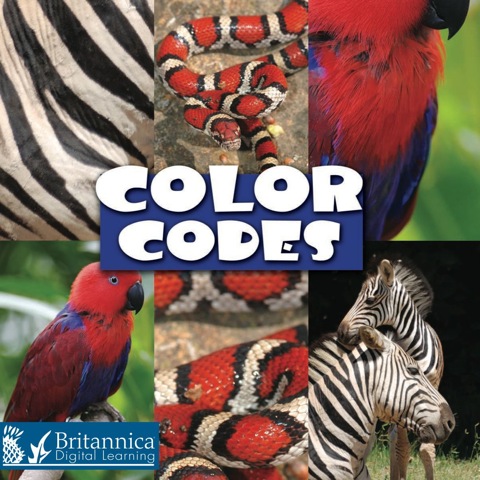 Cover image for book Color Codes