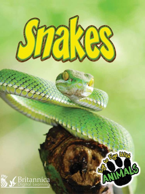 Cover image for book Snakes