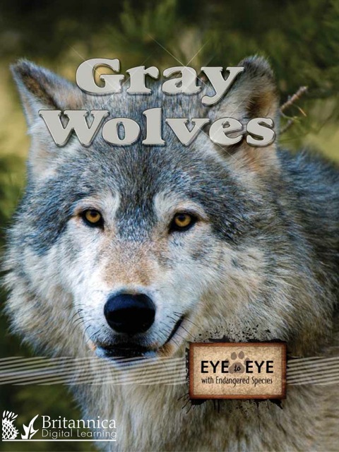 Cover image for book Gray Wolves
