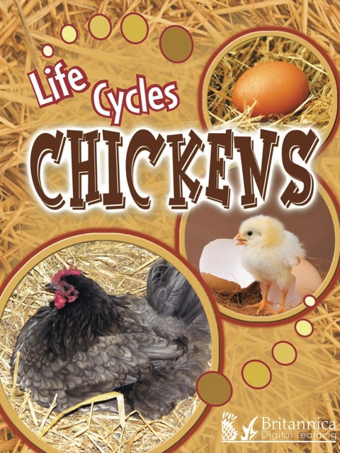 Cover image for book Chickens
