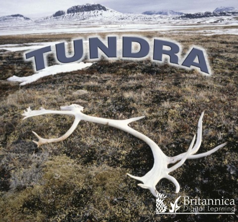 Cover image for book Tundra