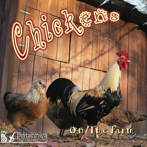 Cover image for book Chickens on the Farm