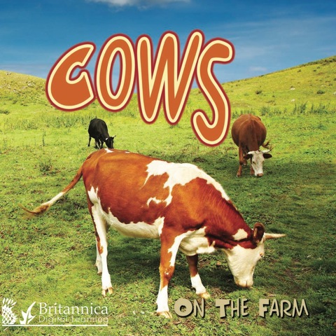 Cover image for book Cows on the Farm