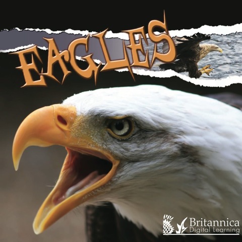 Cover image for book Eagles
