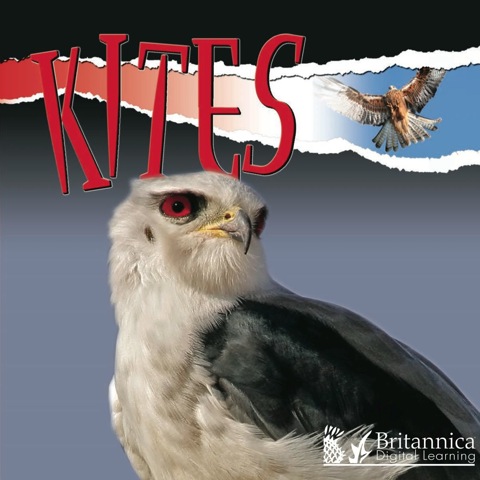 Cover image for book Kites