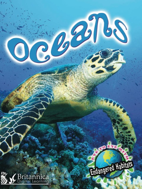 Cover image for book Oceans