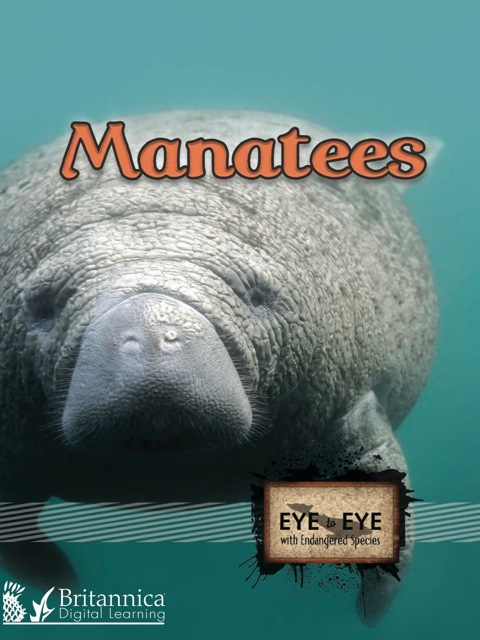 Cover image for book Manatees