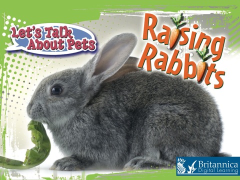 Cover image for book Raising Rabbits