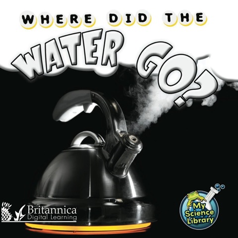 Cover image for book Where Did the Water Go?