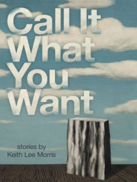 Cover image for book Call It What You Want