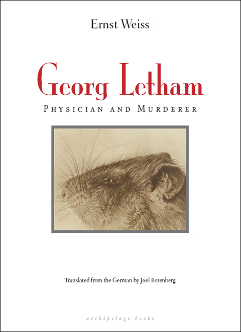 Cover image for book Georg Letham