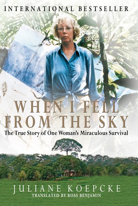 Cover image for book When I Fell From the Sky