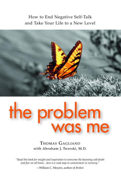 Cover image for book The Problem Was Me