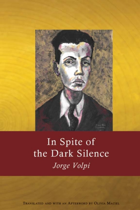 Cover image for book In Spite of the Dark Silence