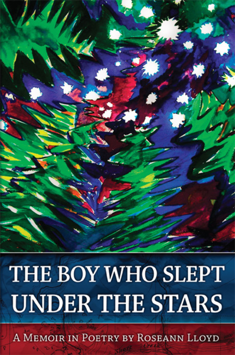 Cover image for book The Boy Who Slept Under the Stars