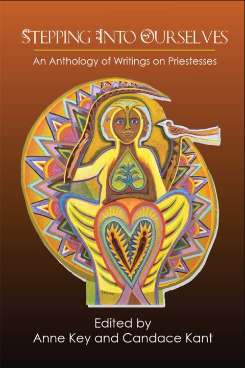 Cover image for book Stepping Into Ourselves