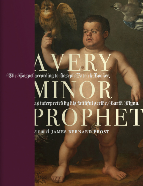 Cover image for book A Very Minor Prophet
