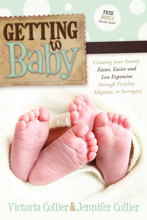 Cover image for book Getting to Baby