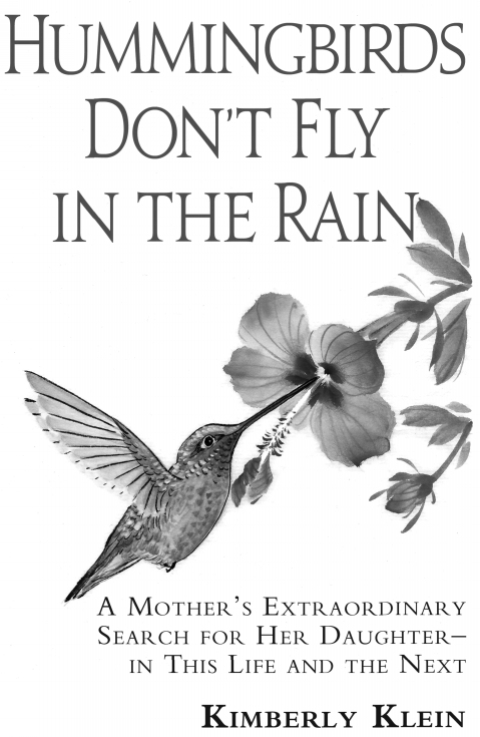 Cover image for book Hummingbirds Don't Fly In The Rain