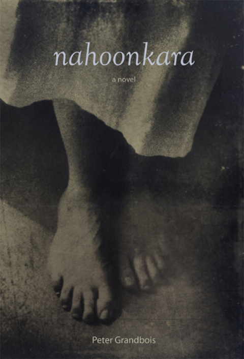 Cover image for book Nahoonkara