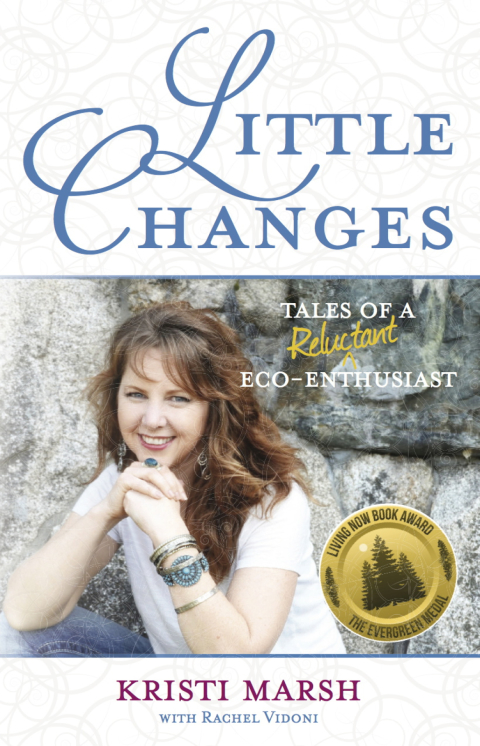 Cover image for book Little Changes