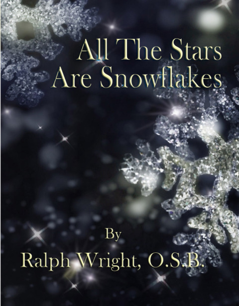 Cover image for book All The Stars Are Snowflakes