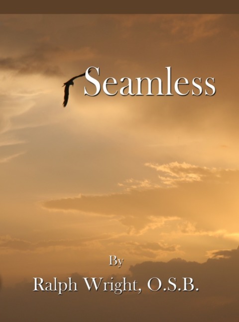 Cover image for book Seamless