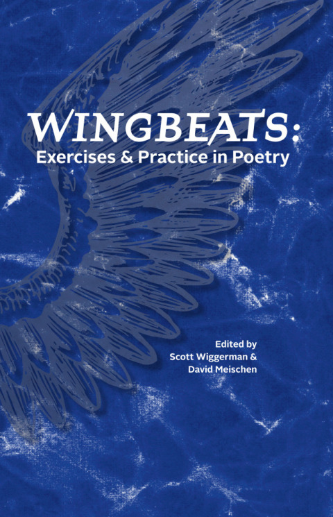 Cover image for book Wingbeats: Exercises and Practice in Poetry