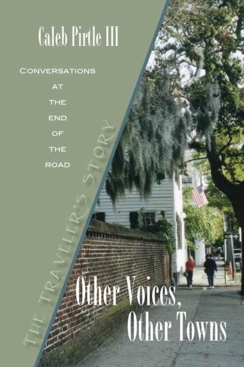 Cover image for book Other Voices, Other Towns: The Traveler's Story