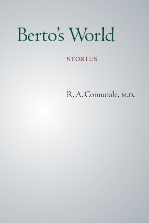 Cover image for book Berto's World