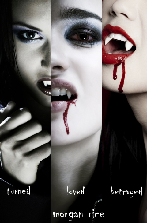 Cover image for book Vampire Journals (Books 1, 2 and 3)