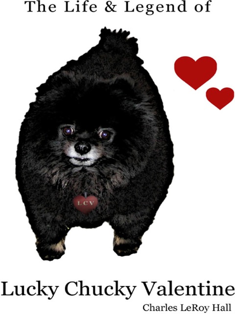 Cover image for book The Life and Legend of Lucky Chucky Valentine