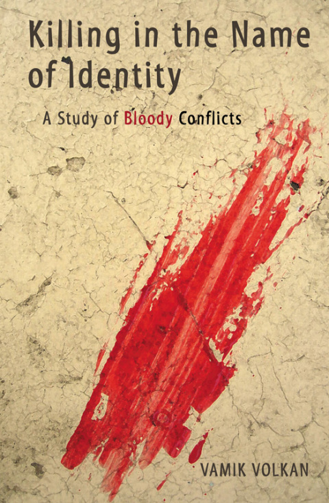 Cover image for book Killing in the Name of Identity