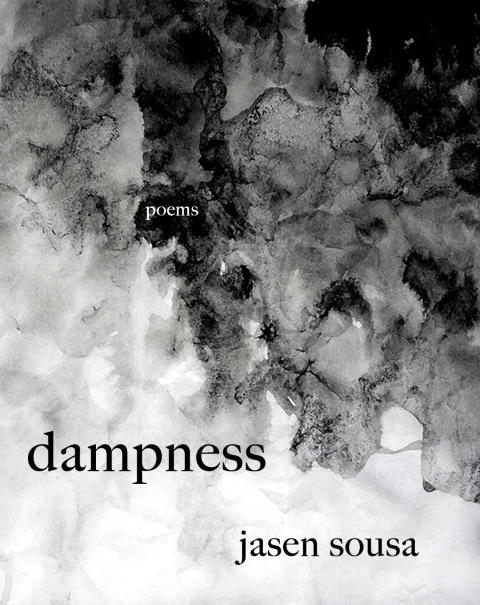 Cover image for book dampness