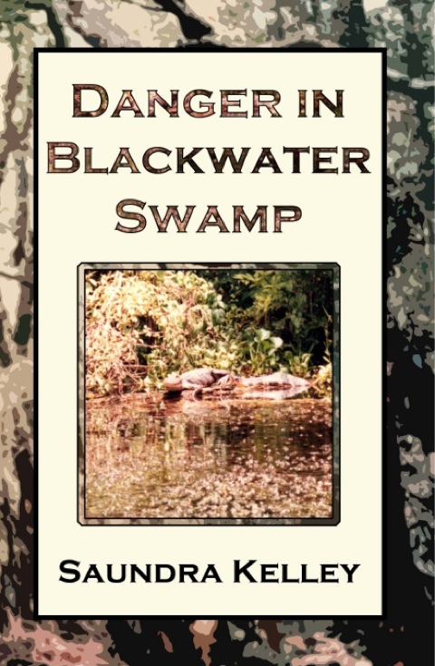 Cover image for book Danger In Blackwater Swamp