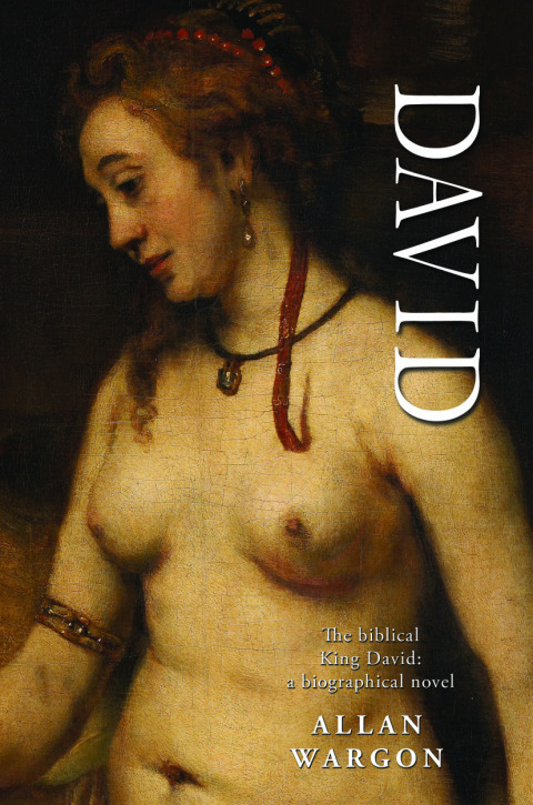 Cover image for book David